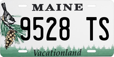ME license plate 9528TS