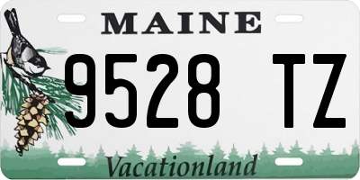ME license plate 9528TZ