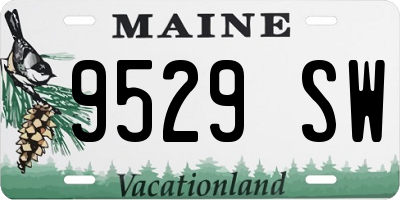 ME license plate 9529SW