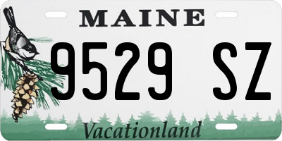 ME license plate 9529SZ