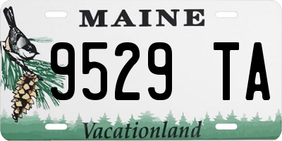 ME license plate 9529TA