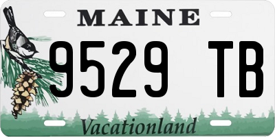 ME license plate 9529TB