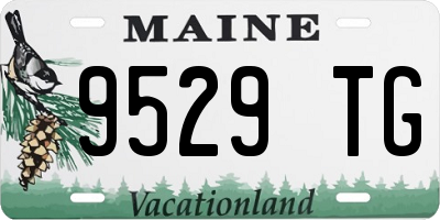 ME license plate 9529TG