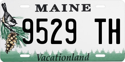ME license plate 9529TH