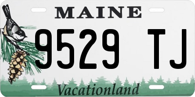 ME license plate 9529TJ