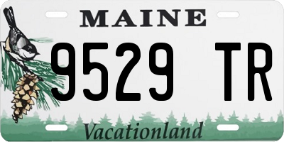 ME license plate 9529TR