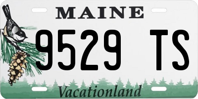 ME license plate 9529TS