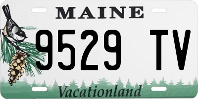 ME license plate 9529TV