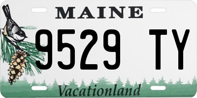 ME license plate 9529TY