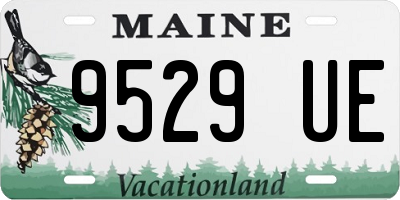 ME license plate 9529UE