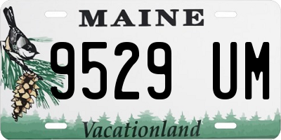 ME license plate 9529UM