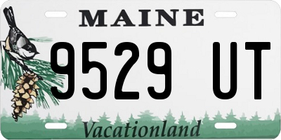 ME license plate 9529UT