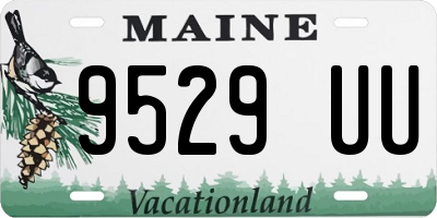 ME license plate 9529UU