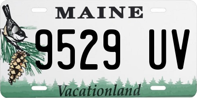 ME license plate 9529UV