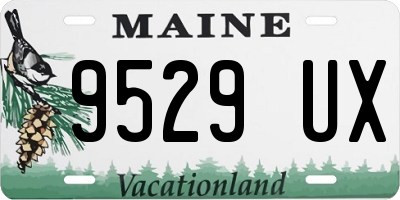 ME license plate 9529UX