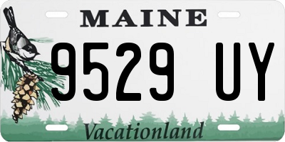 ME license plate 9529UY