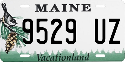 ME license plate 9529UZ