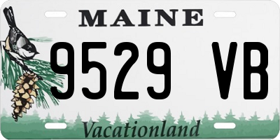 ME license plate 9529VB