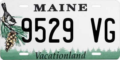 ME license plate 9529VG