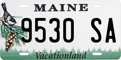 ME license plate 9530SA