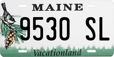 ME license plate 9530SL