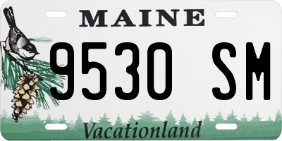ME license plate 9530SM