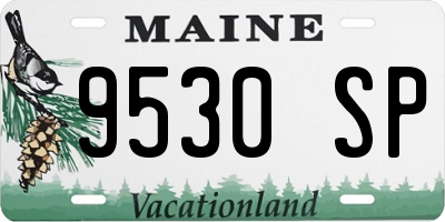 ME license plate 9530SP