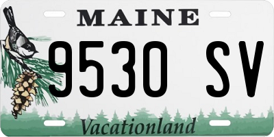 ME license plate 9530SV