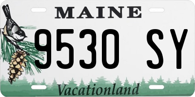 ME license plate 9530SY