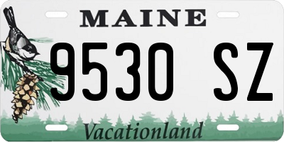 ME license plate 9530SZ