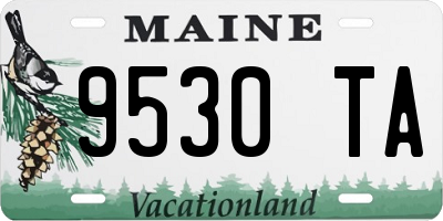 ME license plate 9530TA