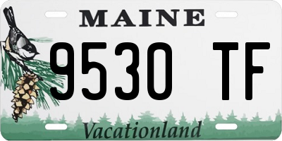 ME license plate 9530TF