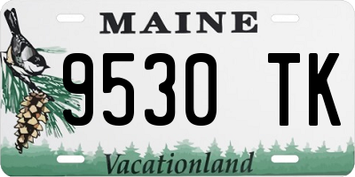 ME license plate 9530TK