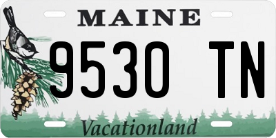 ME license plate 9530TN