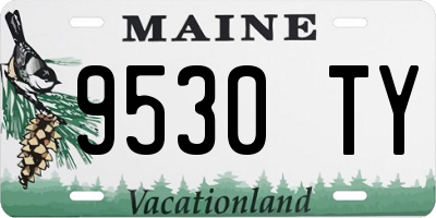 ME license plate 9530TY