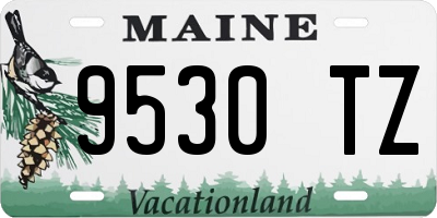 ME license plate 9530TZ