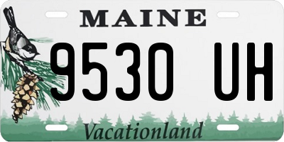 ME license plate 9530UH