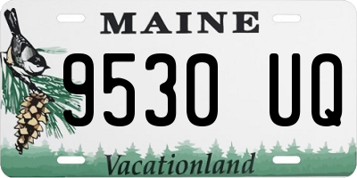ME license plate 9530UQ