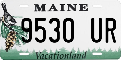 ME license plate 9530UR