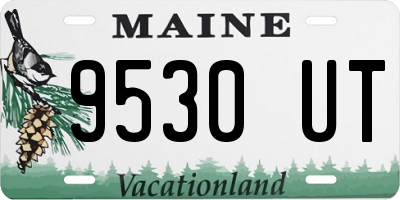 ME license plate 9530UT