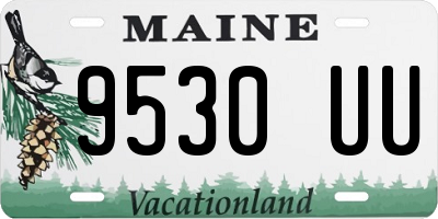 ME license plate 9530UU