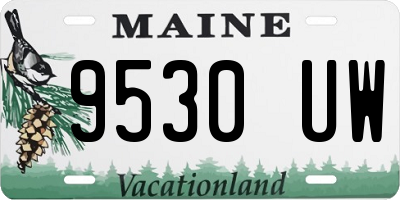 ME license plate 9530UW