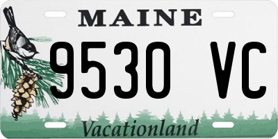 ME license plate 9530VC