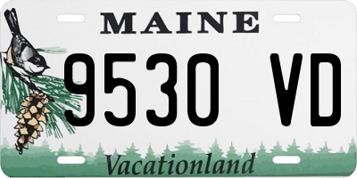 ME license plate 9530VD