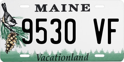 ME license plate 9530VF
