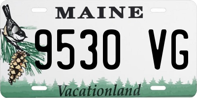 ME license plate 9530VG