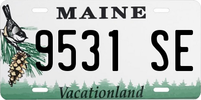 ME license plate 9531SE