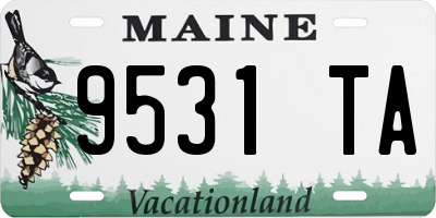 ME license plate 9531TA