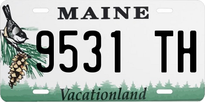 ME license plate 9531TH