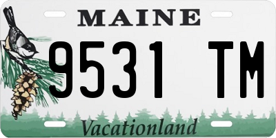 ME license plate 9531TM